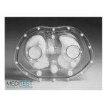 fantome-torse-anthropomorphique